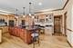 1259 Abbey Oaks, Lemont, IL 60439