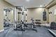 1259 Abbey Oaks, Lemont, IL 60439