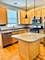 3209 N Drake Unit H, Chicago, IL 60618