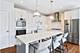 4441 Wolf Unit 206, Western Springs, IL 60558