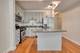 1250 S Michigan Unit 508, Chicago, IL 60605
