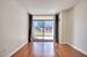 1250 S Michigan Unit 508, Chicago, IL 60605