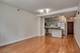 1250 S Michigan Unit 508, Chicago, IL 60605