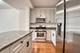 1250 S Michigan Unit 508, Chicago, IL 60605