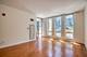1250 S Michigan Unit 508, Chicago, IL 60605