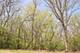 911 Echo (Lot 5), Marengo, IL 60152