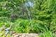 101 S Cedarcrest, Schaumburg, IL 60193