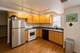 3740 N Janssen Unit CH, Chicago, IL 60613