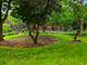 5447 S East View Park Unit 2, Chicago, IL 60615