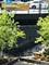 175 E Delaware Unit 4504, Chicago, IL 60611