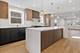 17 Franklin, River Forest, IL 60305