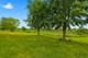 19600 Edgebrook, Tinley Park, IL 60487
