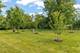 517 N Warwick, Westmont, IL 60559