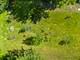 517 N Warwick, Westmont, IL 60559