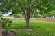 2011 Glenmoor, West Dundee, IL 60118