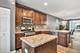 214 Lionel, Grayslake, IL 60030