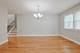 1213 Hawkins, Downers Grove, IL 60516