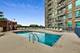 600 N Kingsbury Unit 809, Chicago, IL 60654