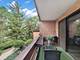 706 Waukegan Unit C-203, Glenview, IL 60025
