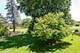 17505 W Woodland, Grayslake, IL 60030