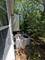 Lot 03-037 Southfork, Marseilles, IL 61341