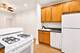 446 W Arlington Unit 1, Chicago, IL 60614