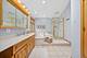 14127 Pheasant, Orland Park, IL 60467