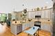 161 S Grove, Elgin, IL 60120