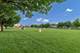 161 S Grove, Elgin, IL 60120