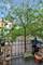 161 S Grove, Elgin, IL 60120