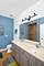 161 S Grove, Elgin, IL 60120
