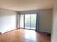 1912 Prairie Unit 219, Schaumburg, IL 60173