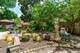 938 Fair Oaks, Oak Park, IL 60302