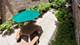 621 Washington Unit 2S, Oak Park, IL 60302