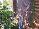 18509 Stedhall, Homewood, IL 60430