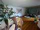 1100 E 91st, Chicago, IL 60619
