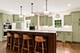 2387 Larkdale, Glenview, IL 60025