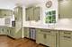 2387 Larkdale, Glenview, IL 60025