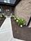 15610 S 82, Orland Park, IL 60467
