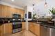 4114 N Lincoln Unit 211, Chicago, IL 60618
