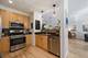 4114 N Lincoln Unit 211, Chicago, IL 60618