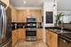 4114 N Lincoln Unit 211, Chicago, IL 60618