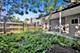 1746 N Albany, Chicago, IL 60647