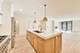 5019 N Lincoln Unit 1S, Chicago, IL 60625