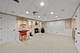 706 Alexandria, Naperville, IL 60565