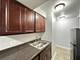 1040 W Hollywood Unit 101, Chicago, IL 60660