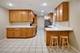 46 Avon, Elk Grove Village, IL 60007
