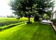 1605 Crowfoot, Hoffman Estates, IL 60169