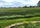 1605 Crowfoot, Hoffman Estates, IL 60169