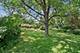 516 S Grace, Lombard, IL 60148